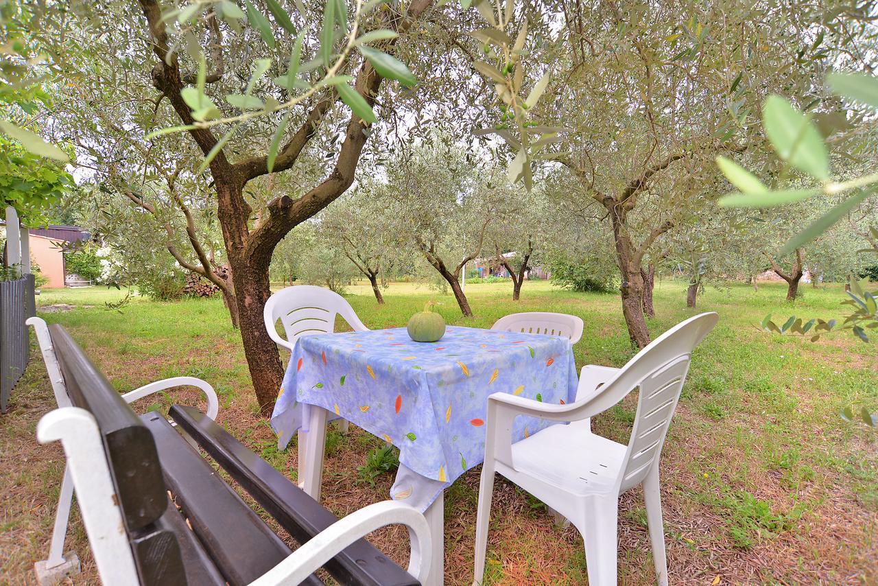 Apartments Dragica 929 Fažana Εξωτερικό φωτογραφία